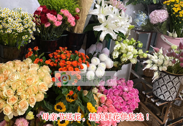 2024鄂尔多斯东胜区母亲节送花,鄂尔多斯东胜区精美鲜花供您选!