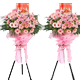 ������˹��ʤ����ҵ����